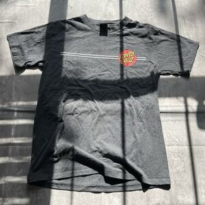 Santa Cruz CLASSIC DOT Charcoal Heather Multi Print Standard M Men's T-Shirt